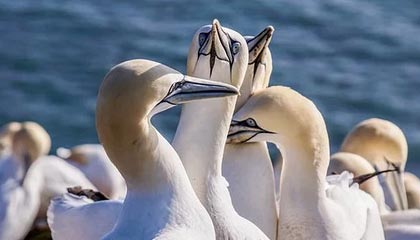 半岛体育官网-【足协杯】姚翰林世界波 卓尔2比0战胜泰州晋级8强